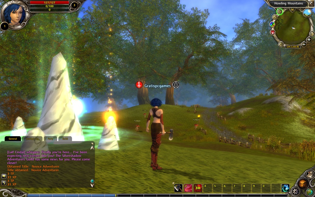Computers Rune Magic Runes of Magic - Gratis PC Games